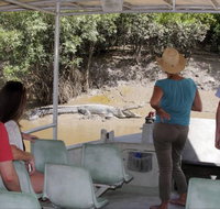 Whitsunday Crocodile Safari - Tourism Caloundra