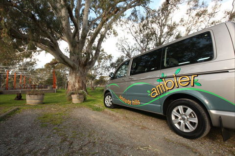 Ambler Touring - Tourism Caloundra 2