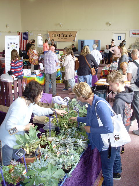Health Harmony And Happiness Festival - Tourism Caloundra 0