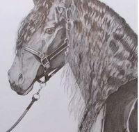 Great Lakes Art Society - Tourism Caloundra