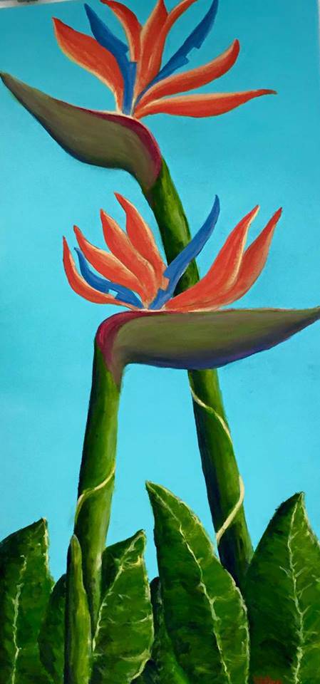 Toukley District Arts Society & Information Centre - Tourism Caloundra 1