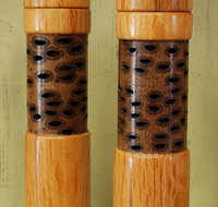 Barking Dog Gallery - Tourism Caloundra