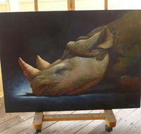 Art on Pallas - Tourism Caloundra