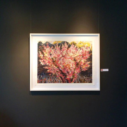 Gallery One - Tourism Caloundra 1