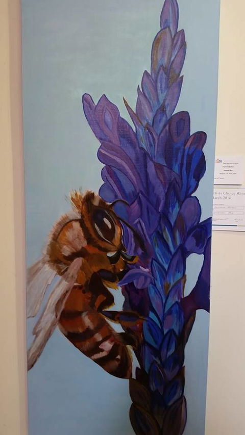 Royal Queensland Art Society - Tourism Caloundra 0