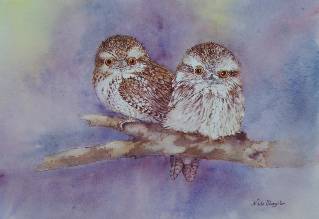 Nada’s Fine Art Gallery - Tourism Caloundra 1
