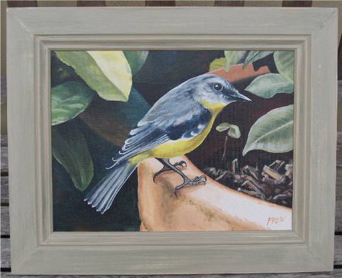 Frew Artworks - Tourism Caloundra 2
