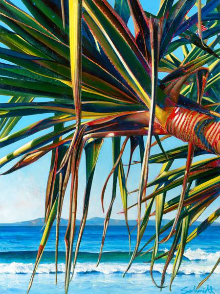 Susan Schmidt Art - Tourism Caloundra 0