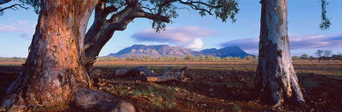 Nissarana Galleries Noosa - Tourism Caloundra 1