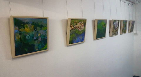Art Arena Gallery Inc - Tourism Caloundra 2