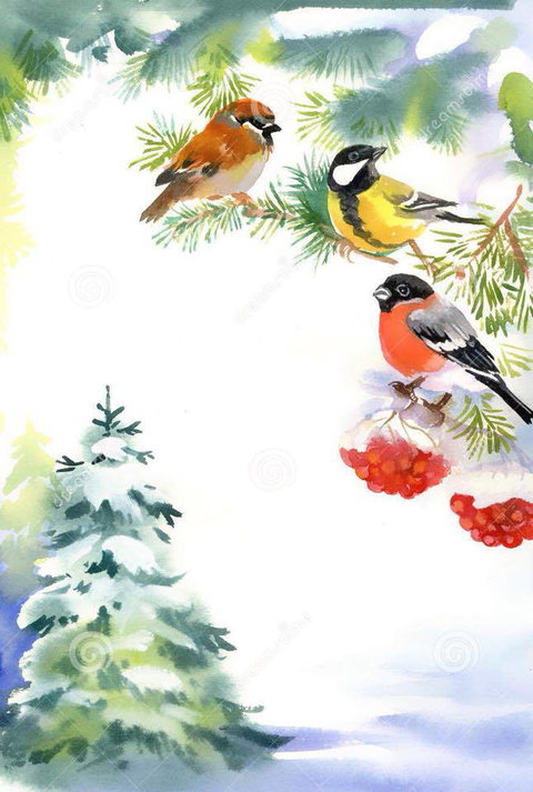 Two Birds Gallery - Tourism Caloundra 2