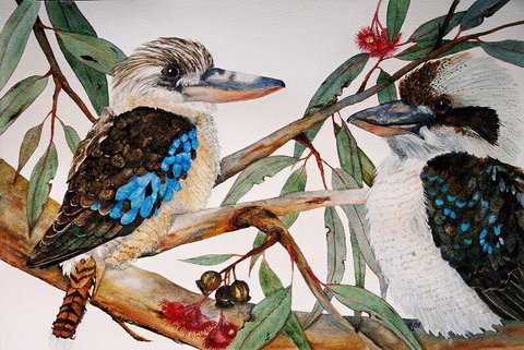 Two Birds Gallery - Tourism Caloundra 3
