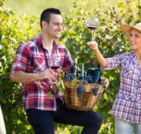 Two Tails Wines - Tourism Caloundra