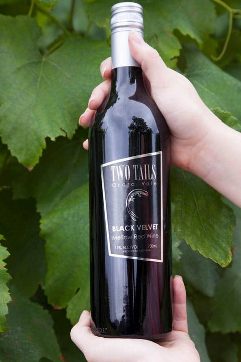 Two Tails Wines - Tourism Caloundra 3