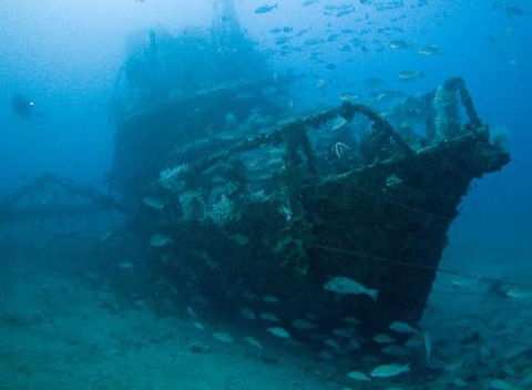 Kirra Dive “On The Tweed” - Tourism Caloundra 4