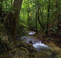 Trek North - Tourism Caloundra