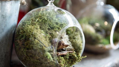 Moxom And Whitney - Tourism Caloundra 0