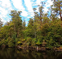 A R Reflections River Cruises - Tourism Caloundra