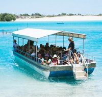 Willie Creek Pearl Farm - Tourism Caloundra