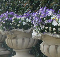 Gardenalia Open Garden and Rare Plant Nursery - Tourism Caloundra