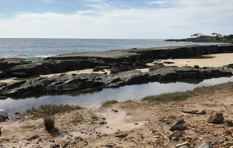 Yamba Tours And Charters - Tourism Caloundra 0