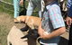 Yamba Tours And Charters - thumb 2