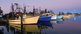 Yamba Tours And Charters - Tourism Caloundra 14