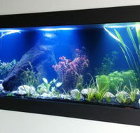Aquariums in Cairns - Tourism Caloundra