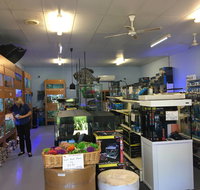 Aquamail - Tourism Caloundra