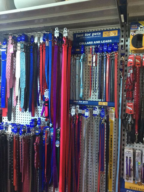 Port Stephens Pet Barn - Tourism Caloundra 3