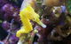 Tropical Marine Centre - thumb 1