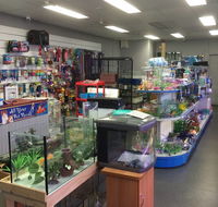 Nambour Pet Shop - Tourism Caloundra