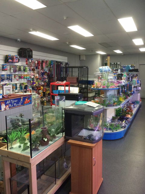 Nambour Pet Shop - Tourism Caloundra 0
