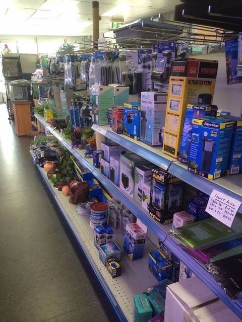 Nambour Pet Shop - Tourism Caloundra 2