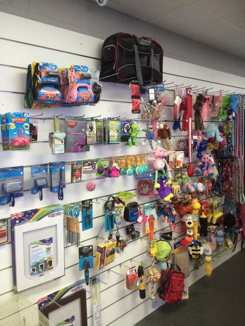 Nambour Pet Shop - Tourism Caloundra 3