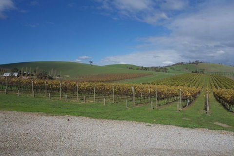 Wine Compass - Tourism Caloundra 1