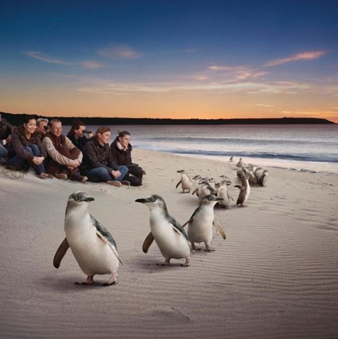 Down Under Thrills - Tourism Caloundra 0