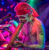 Didgeridoo Jam In The Park - Tourism Caloundra 1