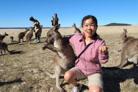 Batemans Bay Full-Day Tour From Canberra Including Indigenous Experience - Tourism Caloundra 0
