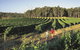 Margaret River, Caves, Wine And Cape Leeuwin Lighthouse Tour From Perth - thumb 0