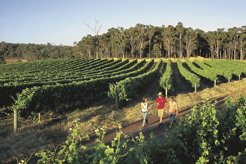 Margaret River, Caves, Wine And Cape Leeuwin Lighthouse Tour From Perth - Tourism Caloundra 0