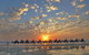 1 Hour Broome Sunset Camel Tour - thumb 0