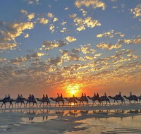 1 Hour Broome Sunset Camel Tour - Tourism Caloundra