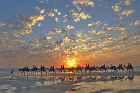 1 Hour Broome Sunset Camel Tour - Tourism Caloundra 0