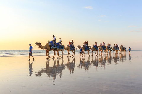 1 Hour Broome Sunset Camel Tour - Tourism Caloundra 7