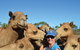 1 Hour Broome Sunset Camel Tour - thumb 8