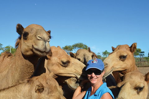 1 Hour Broome Sunset Camel Tour - Tourism Caloundra 8
