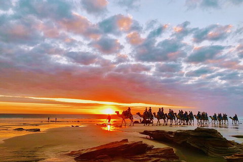 1 Hour Broome Sunset Camel Tour - Tourism Caloundra 10