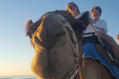 1 Hour Broome Sunset Camel Tour - Tourism Caloundra 2