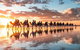 1 Hour Broome Sunset Camel Tour - thumb 9